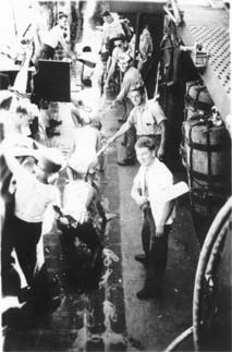 Pollywog Gauntlet Time