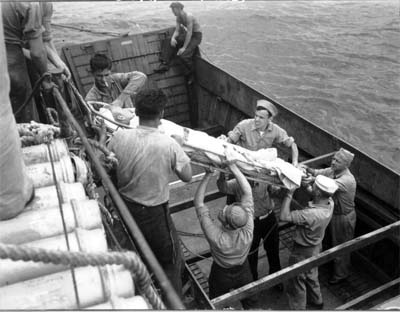 Transfer Of Wounded