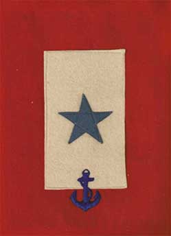 Blue Star Banner